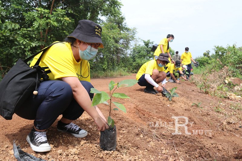 20210526-Tree planting dayt-032.jpg